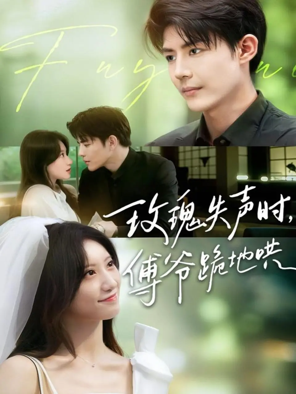 玫瑰失声时傅爷跪地哄：虐恋情深，甜宠上头，这狗粮我吃定了！