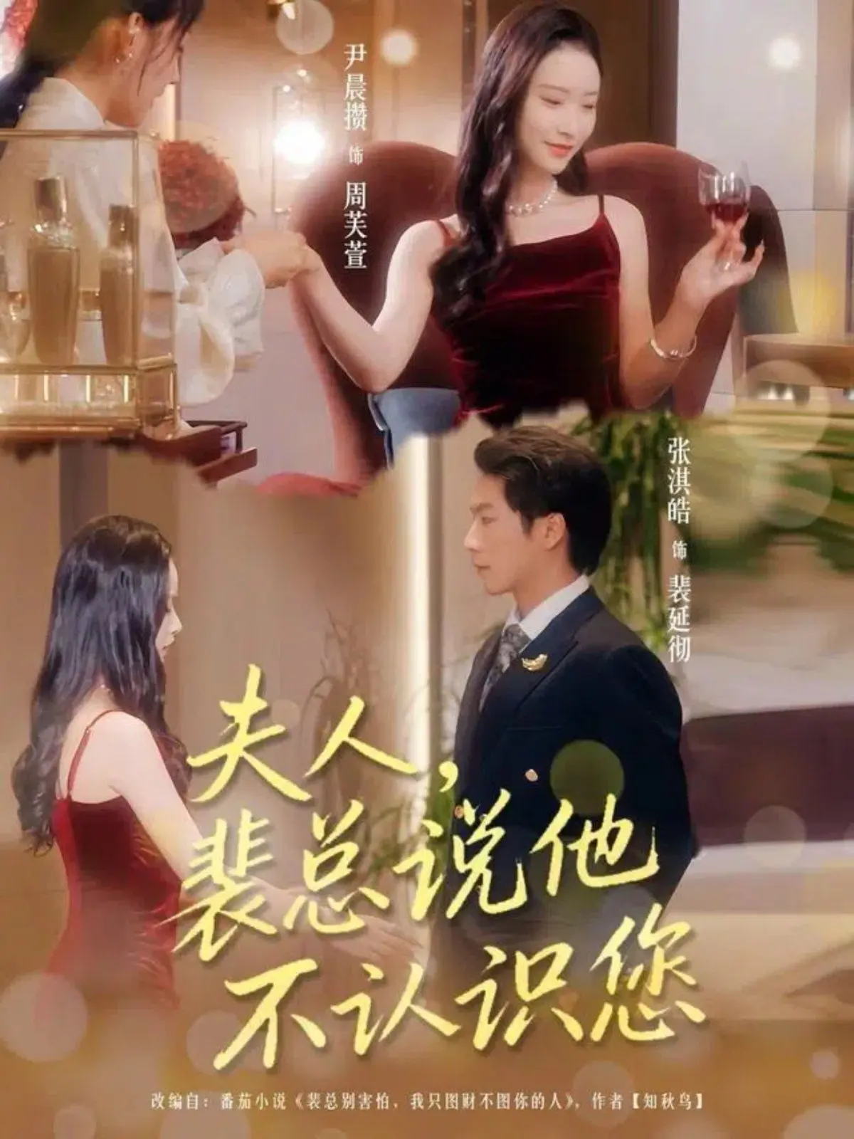 《夫人裴总说他不认识您》：甜宠外壳下的“悬疑犯罪”？这狗血剧情我能看三集！